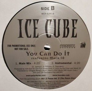 Ice Cube featuring Mack 10 You Can Do It 12" Vinyl Record 3