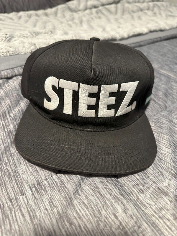 10 x Fitted Hat Lot: Undefeated, Never Satisfied, PLAYER, Steez, WET, B, Irate +