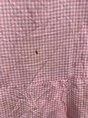 Vintage Pink Gingham Dress Womens Large Sleeveless Drop Waist Ruffle Collar 60s