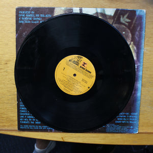 Neil Young & Crazy Horse Live Rust 2 LP Reprise Records 2RX 2296 1979 5