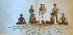 Earth Wind Fire Head To The Sky Vinyl LP Record Used 2