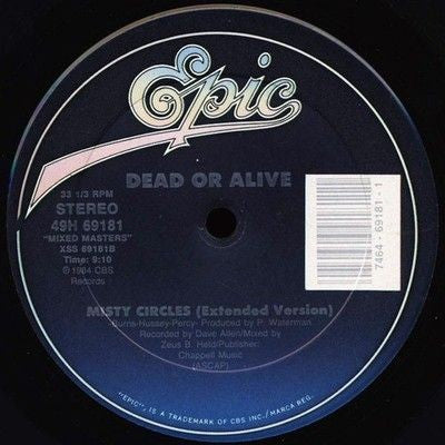 Dead Or Alive Spin Me Round / Misty Circles 12" Vinyl Record