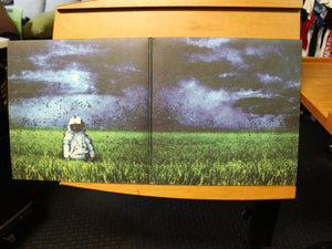 Deja Entendu Brand New - Deja Entendu (2xLP, Album, RE, 180) LP BRAINFEEDER 2