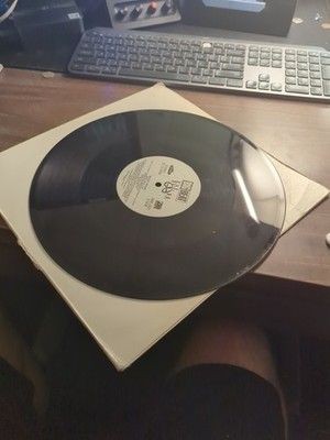 DJ Pooh, Whoop! Whoop!, (12", Promo), VG, 3623272650 2