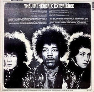 Jimi Hendrix Experience Are You Experienced Vinyl LP Record Used Psychedelic Roc 5