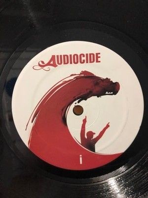 Audiocide Vinyl LP Record Used 3