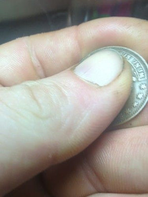 1837-1841 Hard Times Token Daniel Webster Credit - Error Coin 4