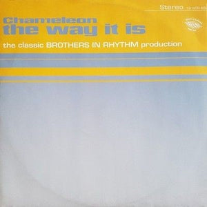 Chameleon The Way It Is 12" Vinyl Record 2