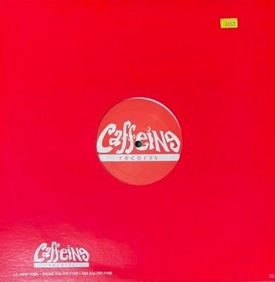 Micro Vicious Vic Electric Impact Vinyl Record Used