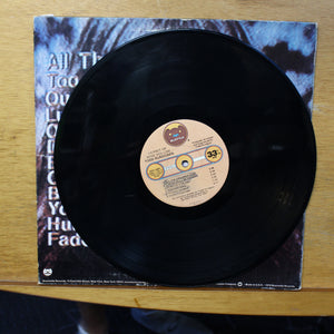 Todd Rundgren Hermit of Mink Hollow LP Bearsville Records BRK 698 1978 3