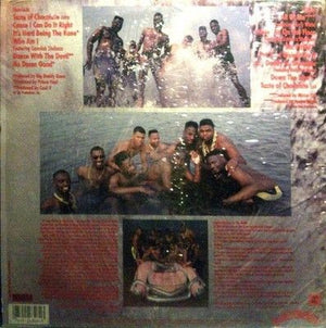 Big Daddy Kane Taste Of Chocolate Vinyl LP Record Used Hip Hop 5