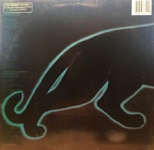 Al Di Meola Electric Rendezvous Vinyl LP Record 2