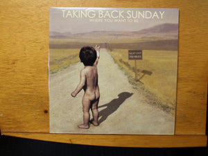 Taking Back Sunday Where You Want to Be LP Victory Records VR 228 2003 1