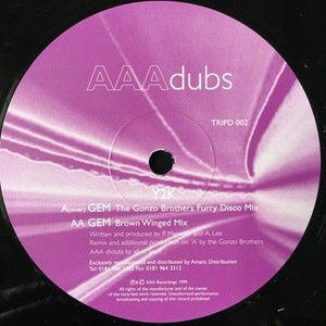 Y2K Gem 12" Vinyl Record 1